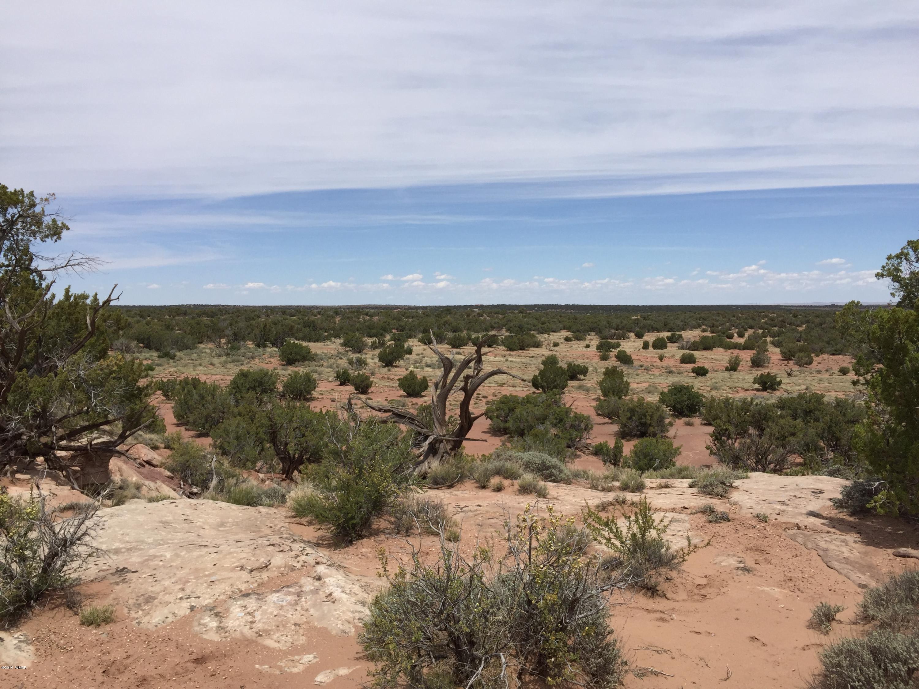 4257 Concho Ocho Road Snowflake, AZ 85937 - Photo 11 of 16 a view of lake and mountain