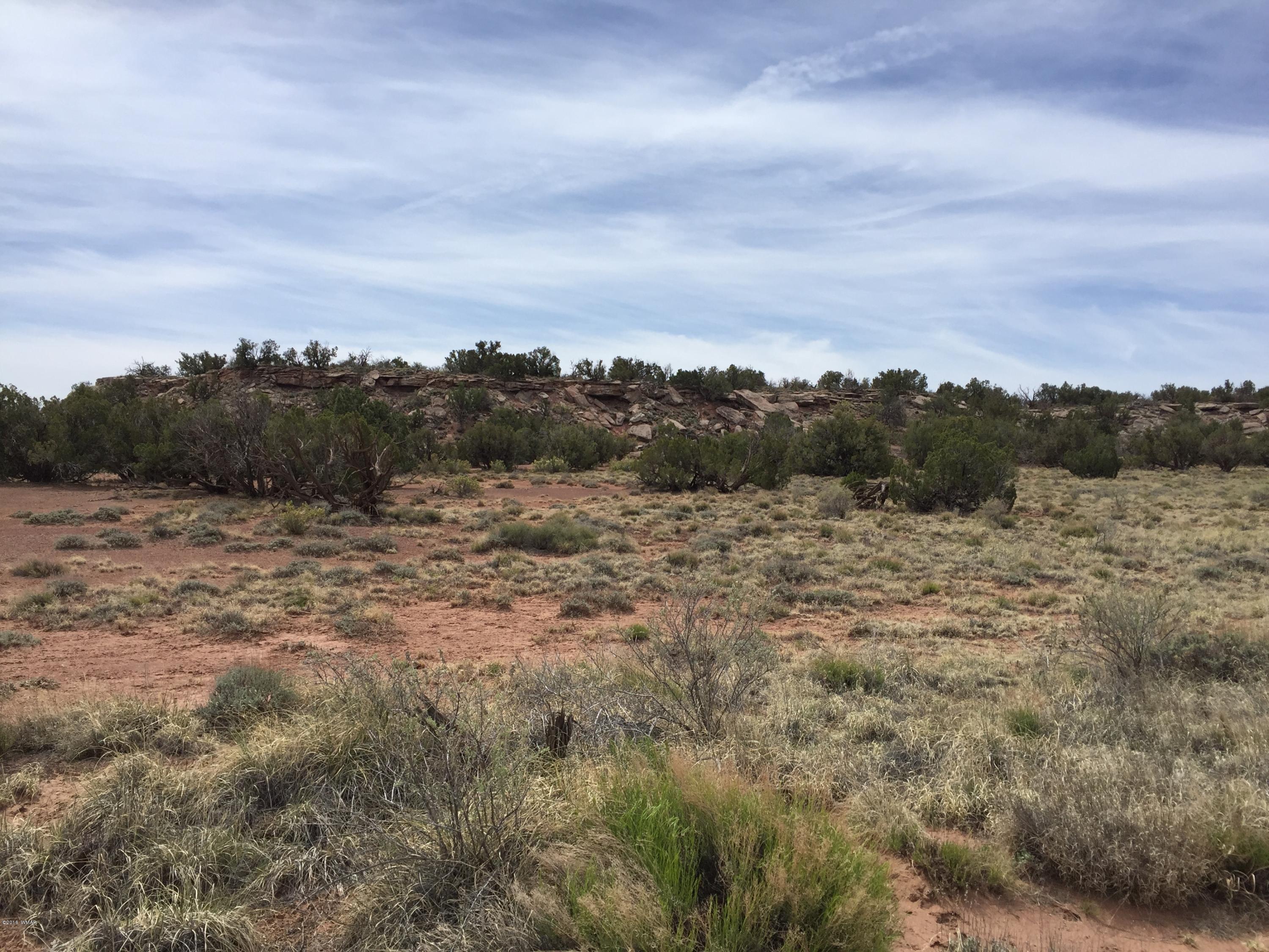 4257 Concho Ocho Road Snowflake, AZ 85937 - Photo 2 of 16 a view of a field with trees in the background