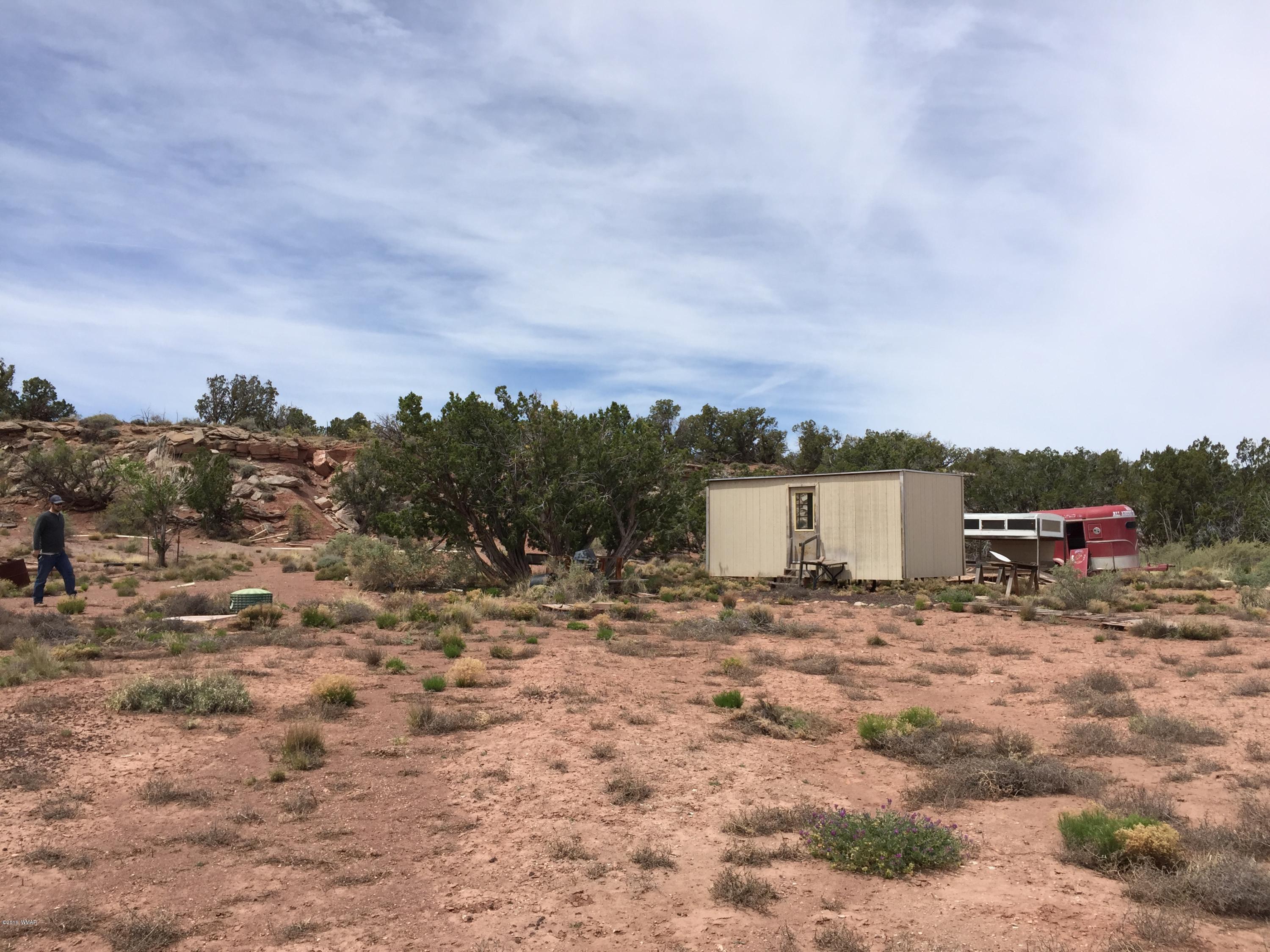 4257 Concho Ocho Road Snowflake, AZ 85937 - Photo 3 of 16 a view of a dry yard with wooden fence