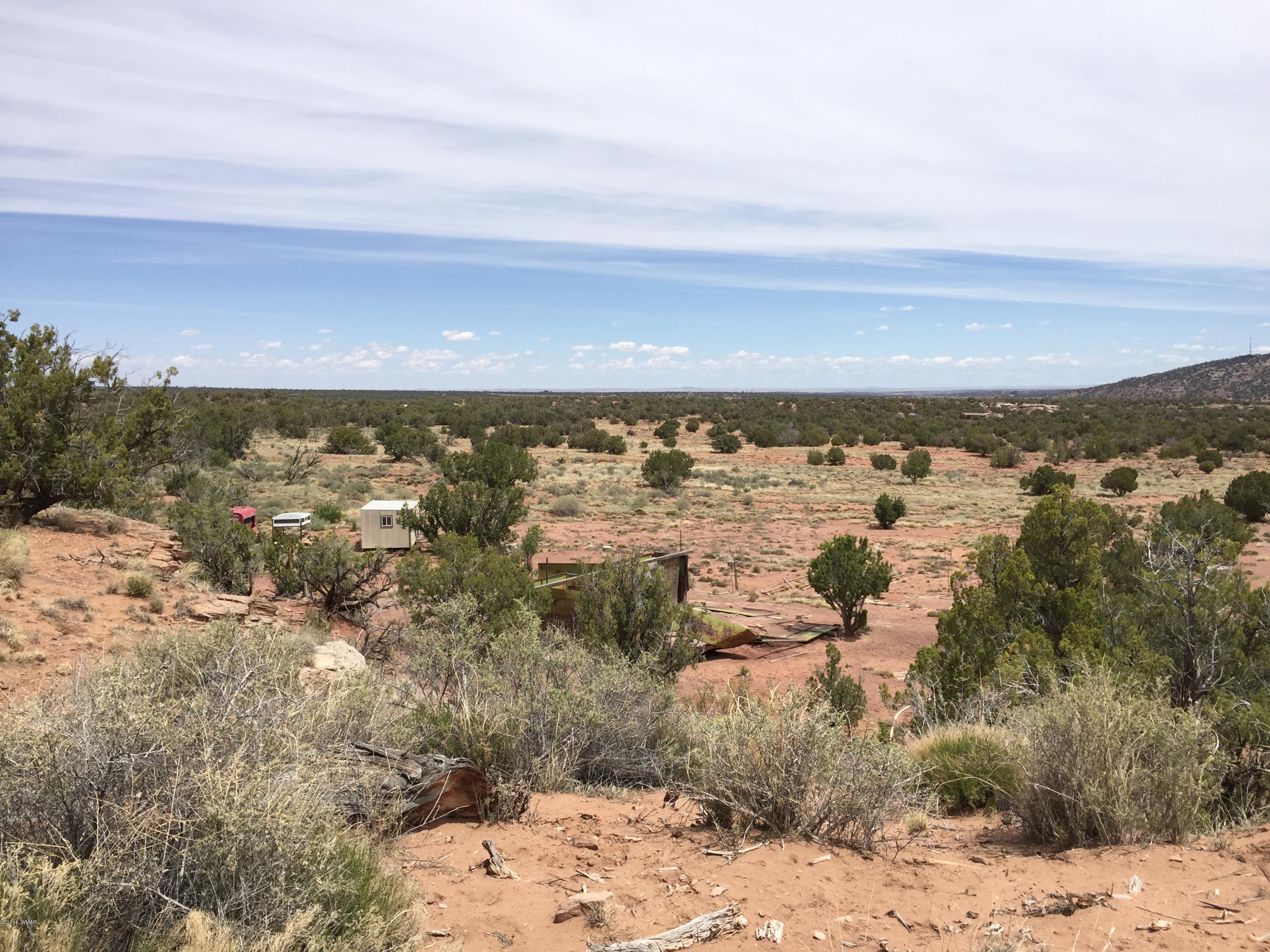 4257 Concho Ocho Road Snowflake, AZ 85937 - Photo 10 of 16 a view of city and ocean