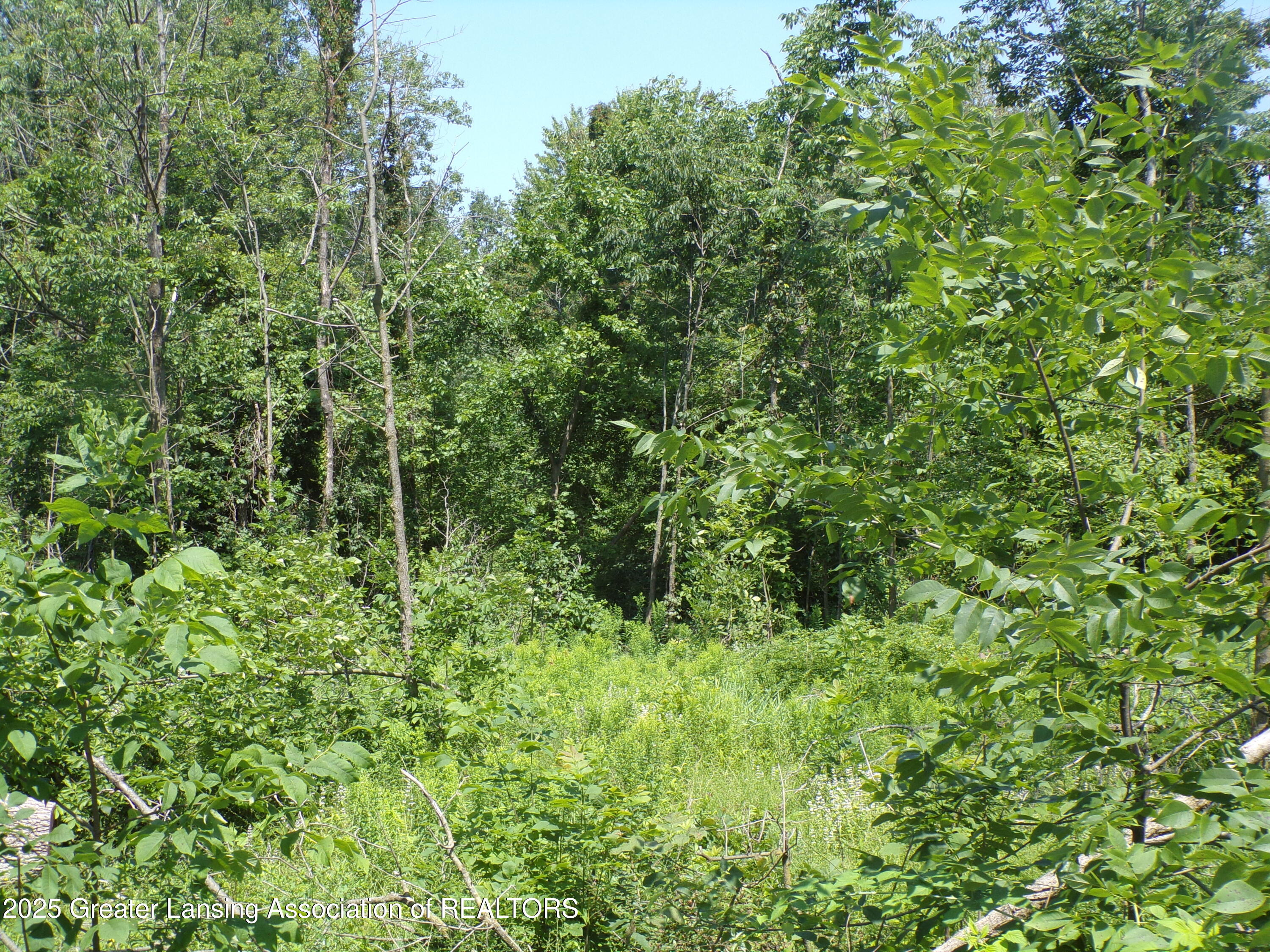 0 South Lacey Lake Road Bellevue, MI 49021 - Photo 11 of 12 101_0621