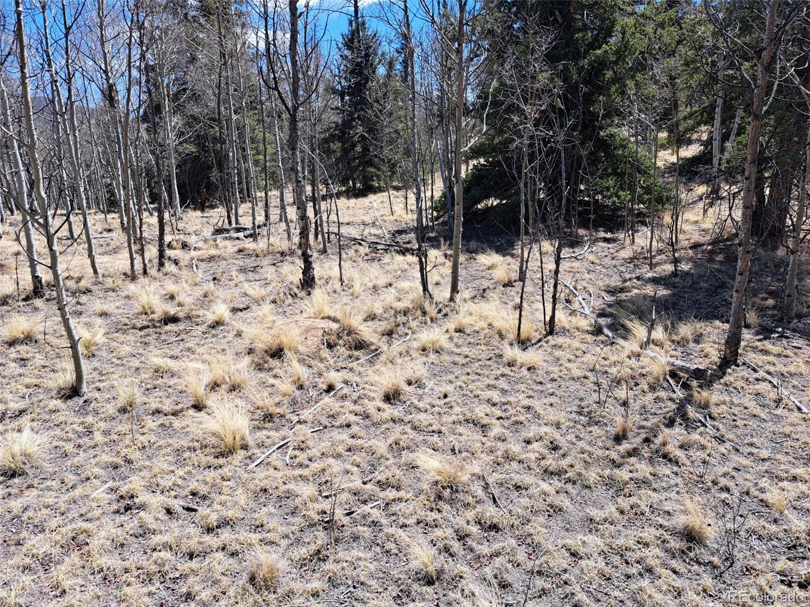 730 Tepee Trail Como, CO 80456 - Photo 23 of 29