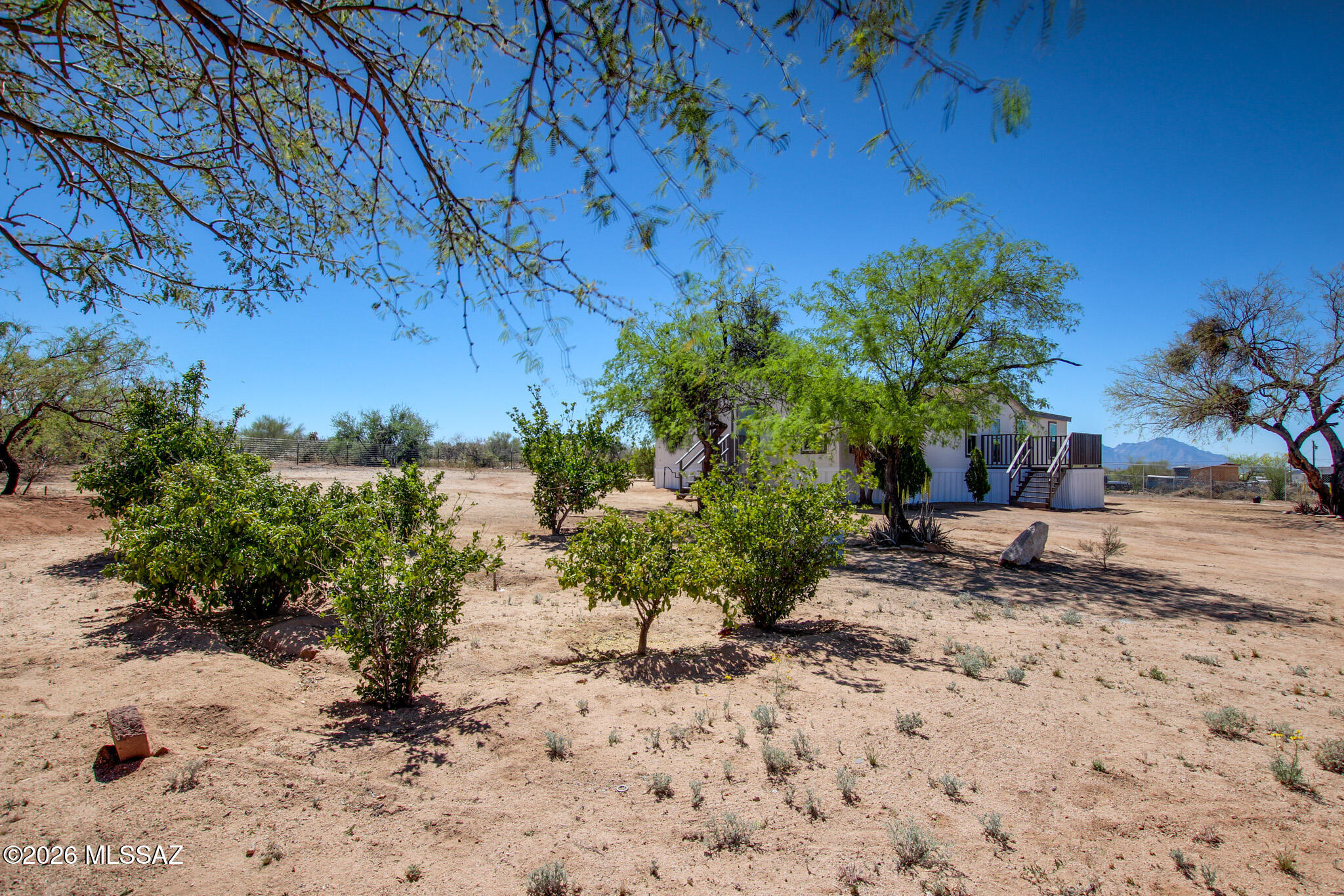 14303 West Rolina Lane Tucson, AZ 85736 - Photo 28 of 38 a view of a backyard with plants and a tree