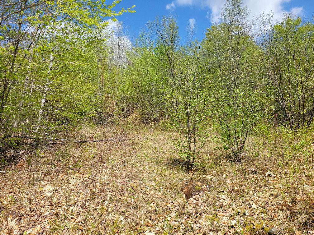 Lot 11 Swift River Road Byron, ME 04275 - Photo 57 of 72 photo_f7b86af6-123d-4f30-ab09-8c32051bc4