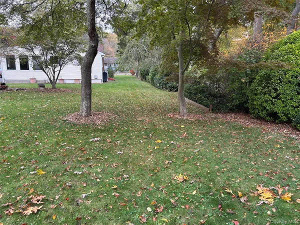 a view of a tree in a yard