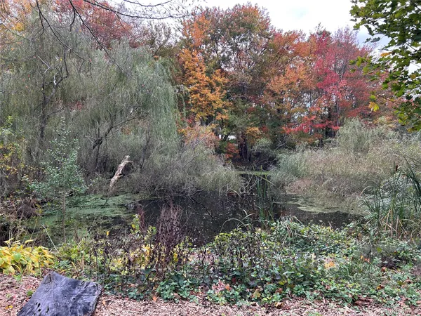 a backyard of a house with a yard and mountain