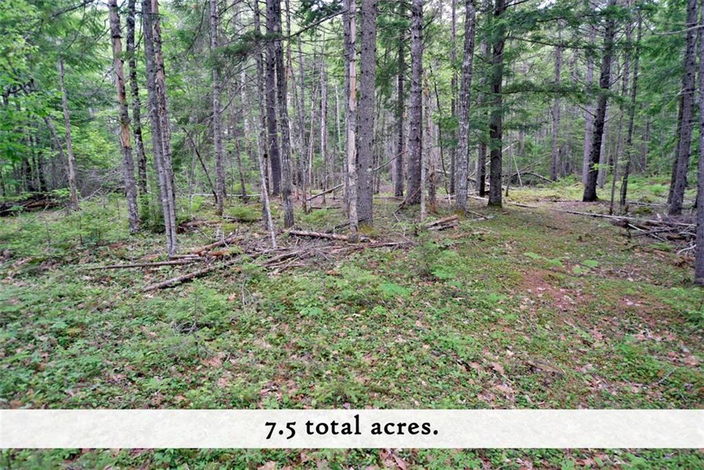 113 Red Bridge Road Ellsworth, ME 04605 - Photo 19 of 29 Photo