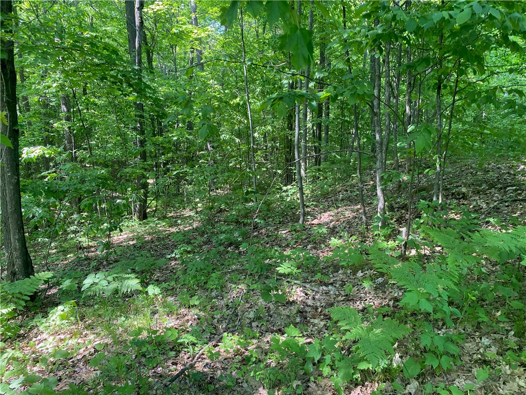 Lot 7 Secluded Trail Hayward, WI 54843 - Photo 9 of 41