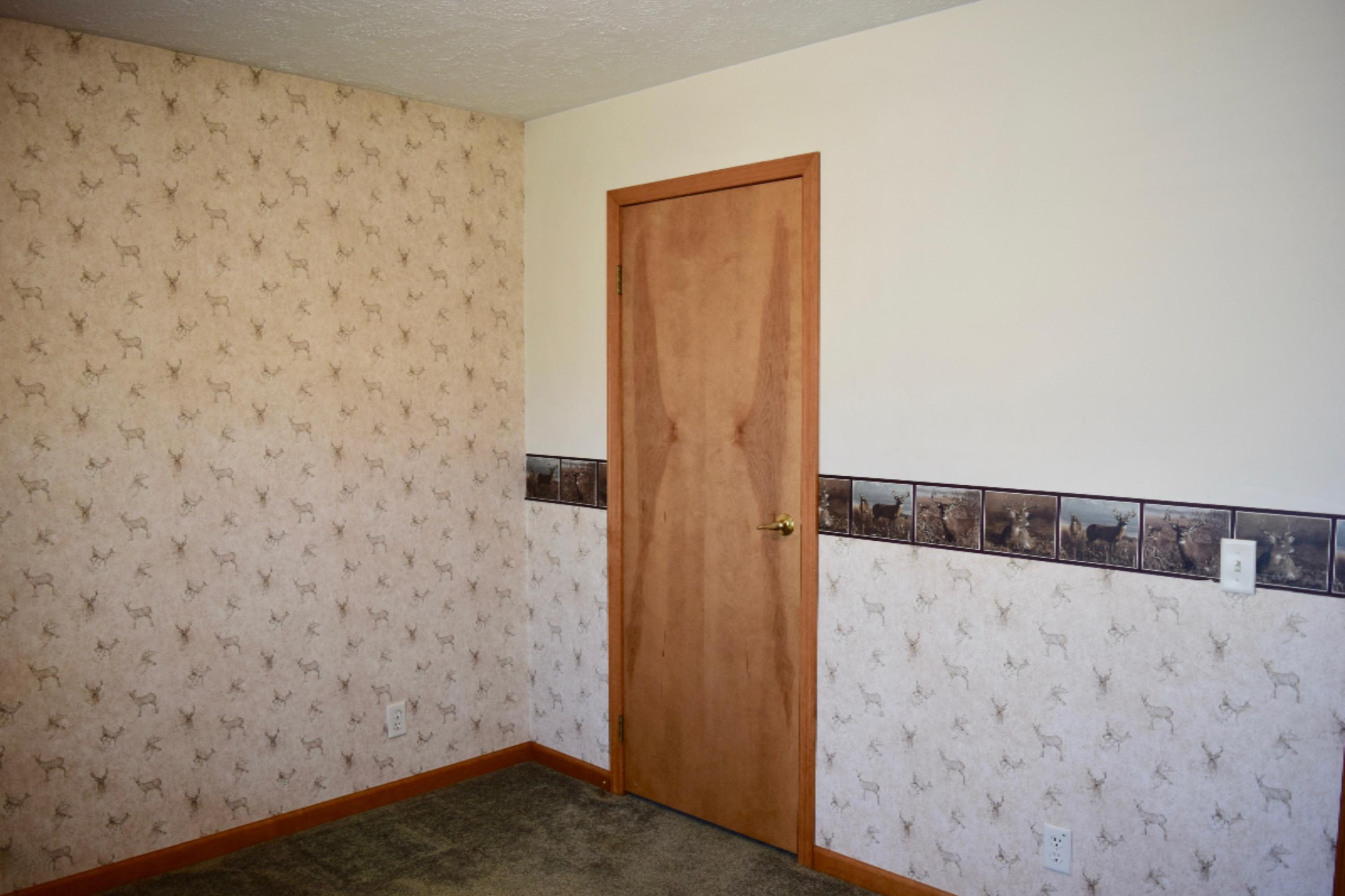 5061 Schoedel Road Manistee, MI 49660 - Photo 24 of 39 DSC_0045
