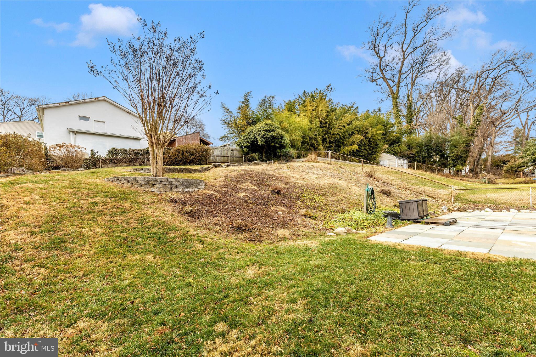 11802 Pittson Road Silver Spring, MD 20906 - Photo 49 of 50 a view of a yard with a large tree