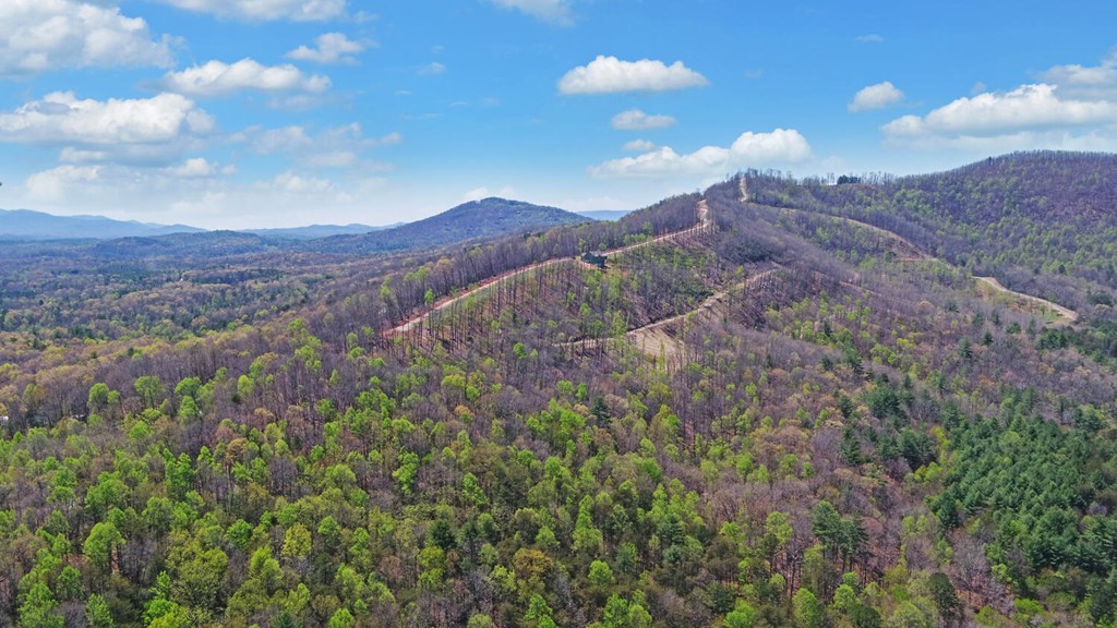 313 Burger Road Murphy, NC 28906 - Photo 40 of 41