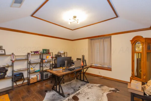 a living room with furniture a rug and a potted plant