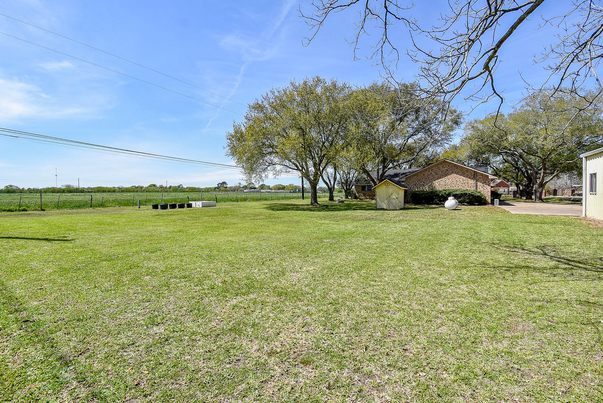 2719 Vail Road Rosenberg, TX 77471 - Photo 6 of 36 a view of a field of grass and trees