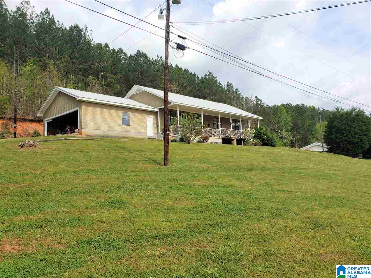 2381 Chinch Creek Road Piedmont, AL 36272 - Photo 3 of 25