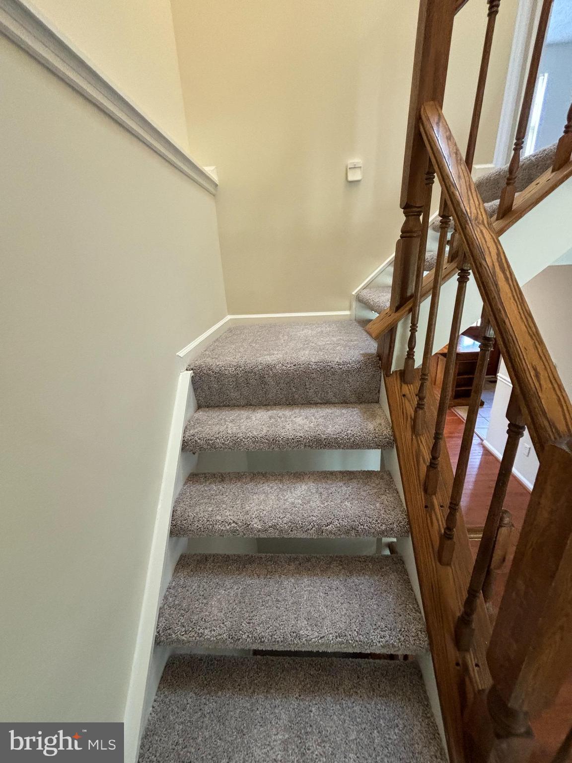 13336 Burkitts Road Fairfax, VA 22033 - Photo 6 of 14 upstairs step coved by New carpet