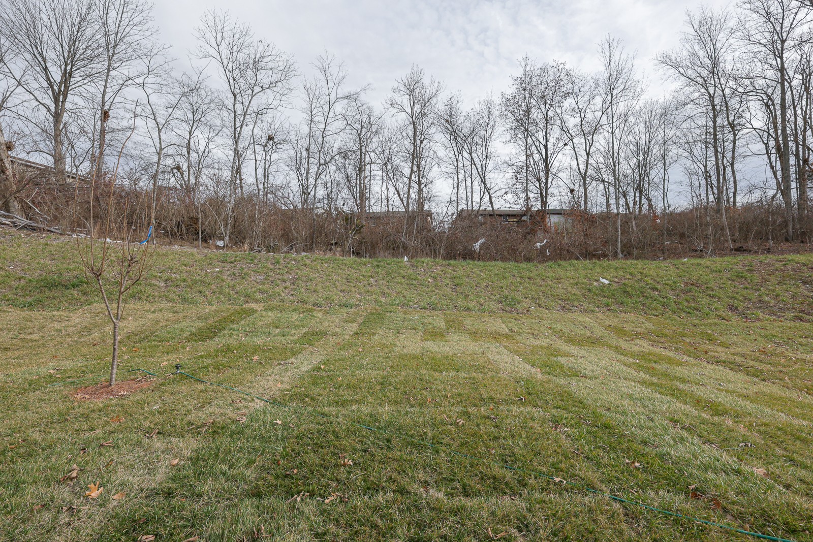 7313 Blue Gable Road Hermitage, TN 37076 - Photo 35 of 42 Gallery Image 35