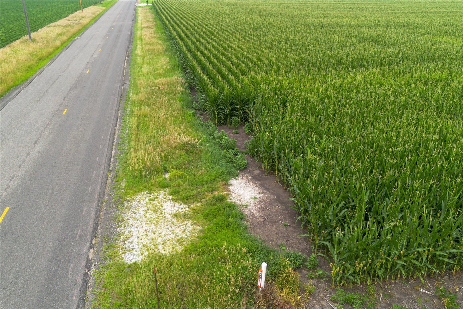 State Route 17th Varna, IL 61375 - Photo 12 of 13