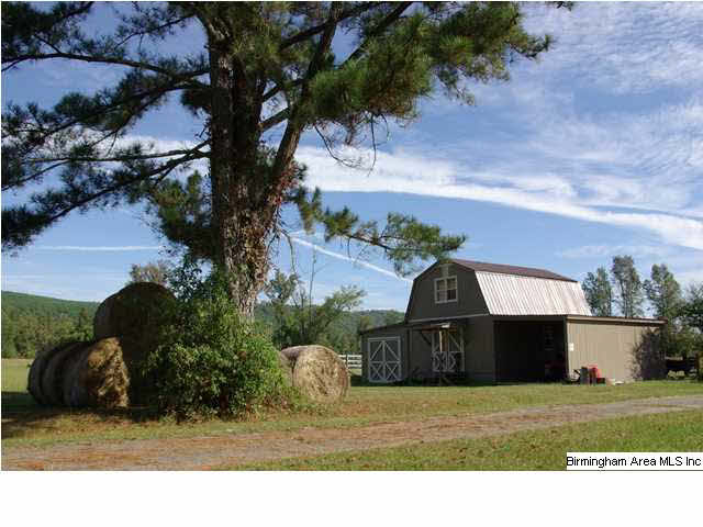 495 Jackson Taylor Road Ashville, AL 35953 - Photo 19 of 28