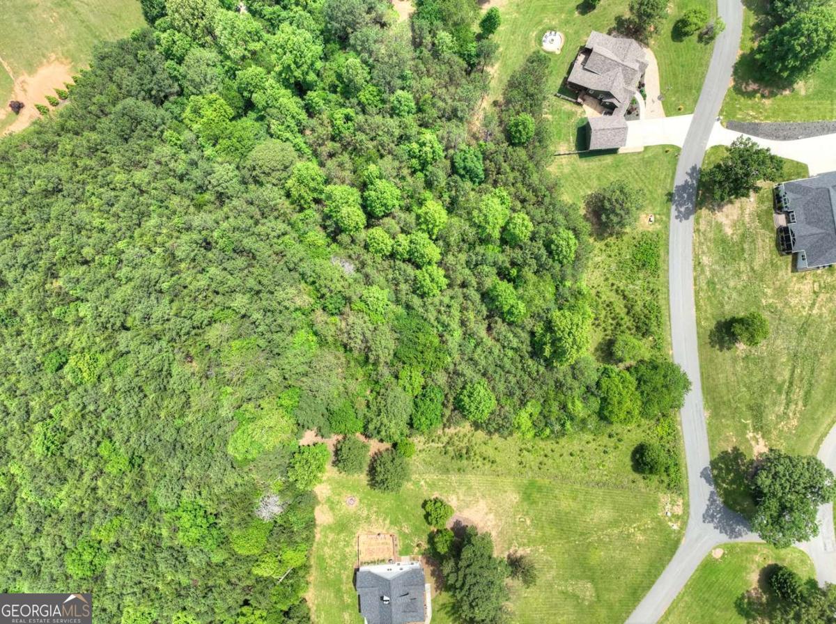 Lot 141 Fox Ridge, Unit 141 Blairsville, GA 30512 - Photo 17 of 31 a view of a garden