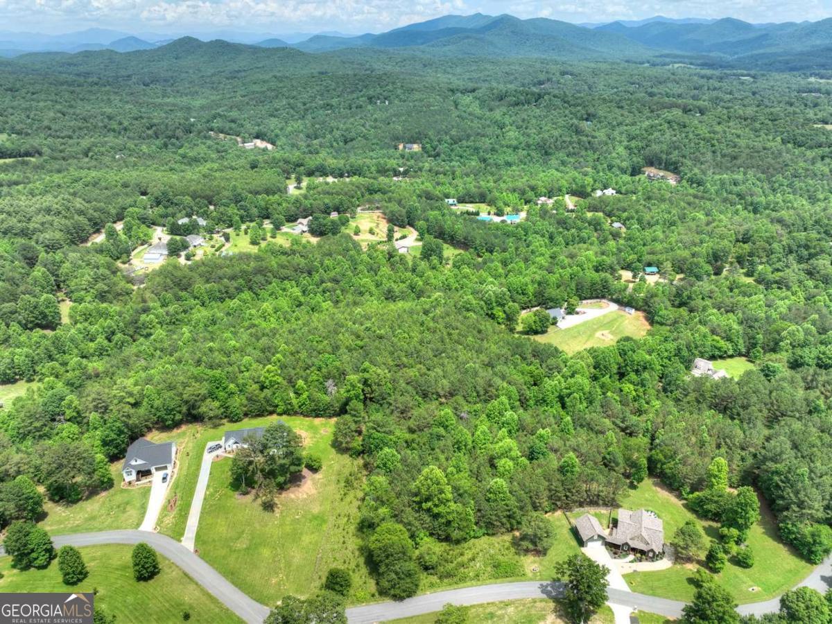 Lot 141 Fox Ridge, Unit 141 Blairsville, GA 30512 - Photo 18 of 31 a view of a lush green field with lots of bushes