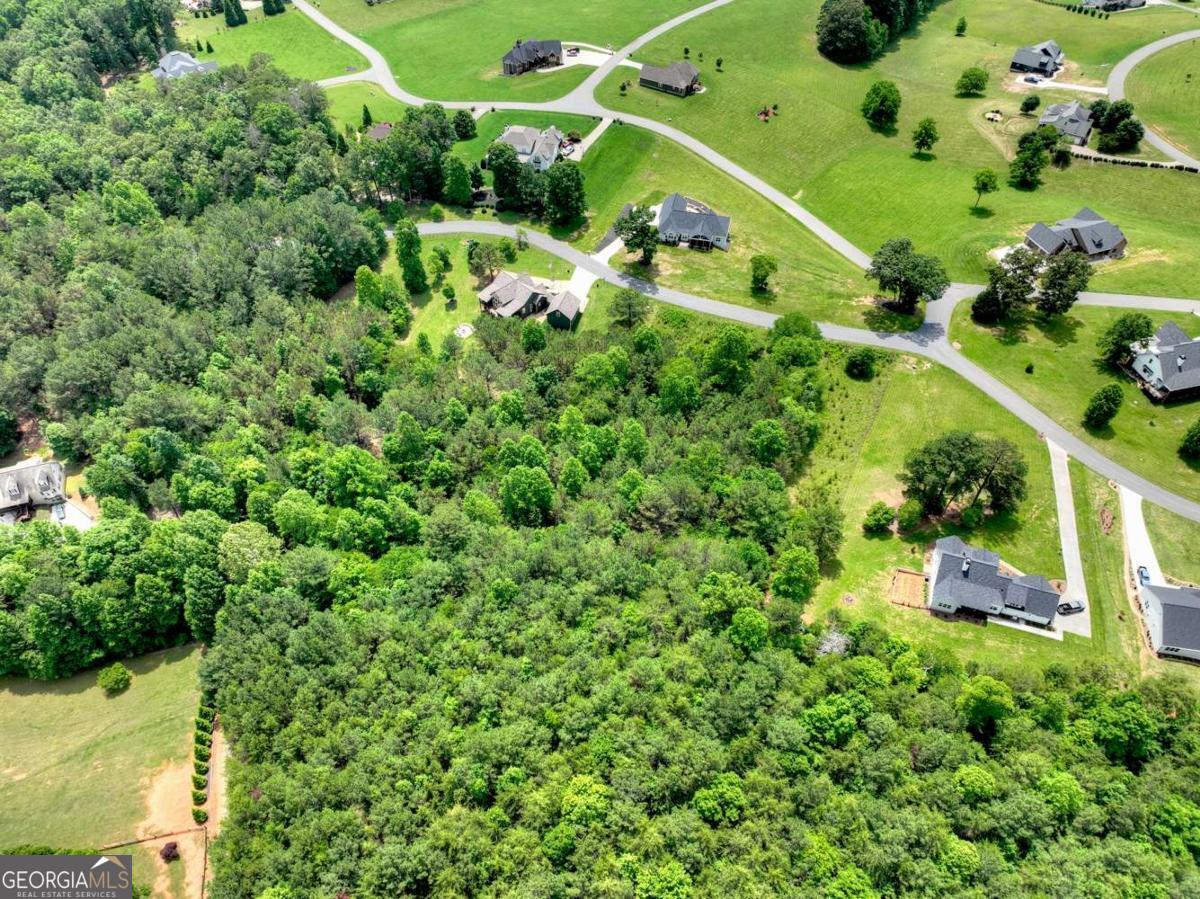 Lot 141 Fox Ridge, Unit 141 Blairsville, GA 30512 - Photo 5 of 31 an aerial view of a residential houses with outdoor space and trees all around