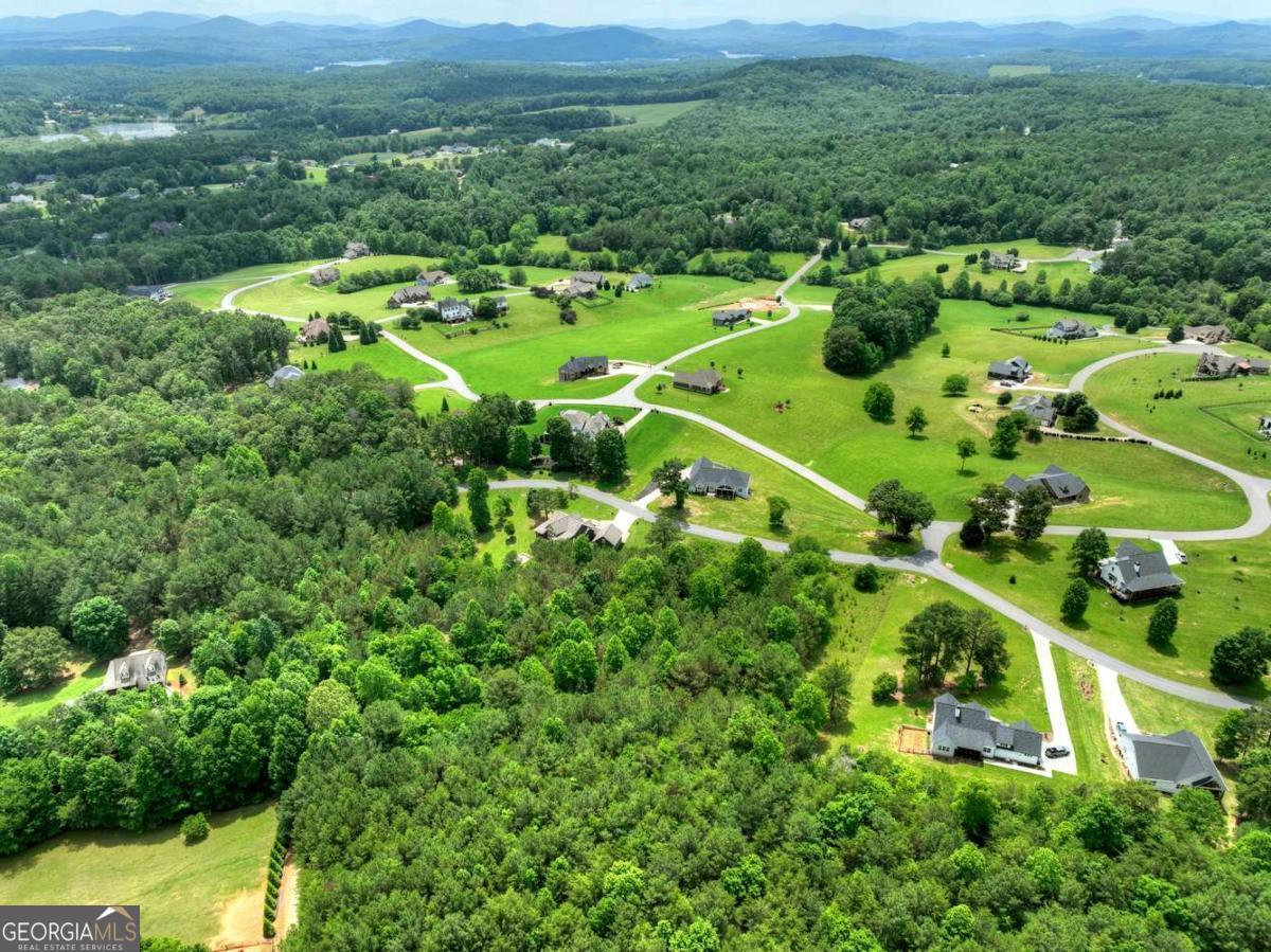 Lot 141 Fox Ridge, Unit 141 Blairsville, GA 30512 - Photo 6 of 31 a view of a city with lush green forest