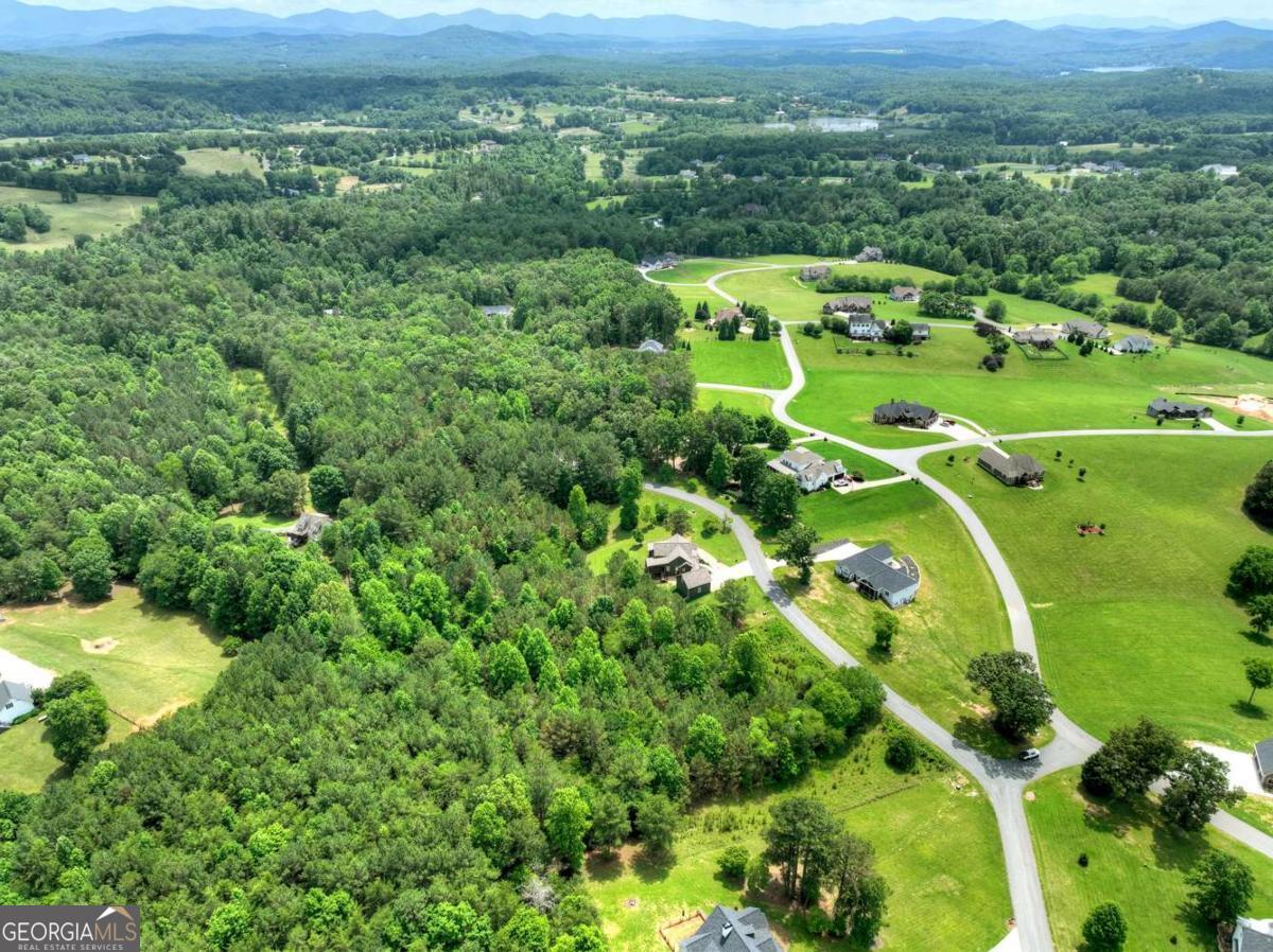 Lot 141 Fox Ridge, Unit 141 Blairsville, GA 30512 - Photo 7 of 31 a view of a city with lush green forest