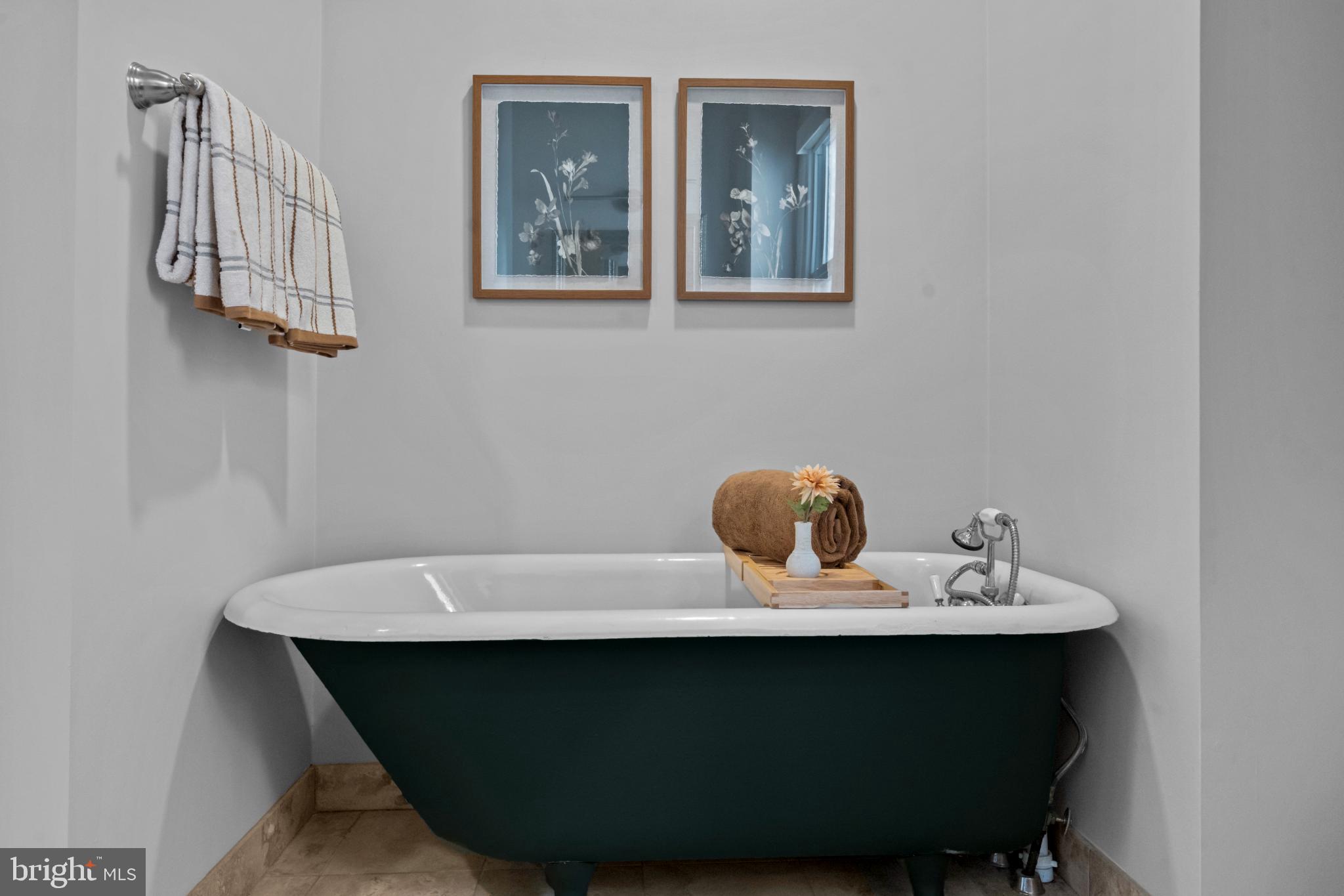 503 S Street Northwest Washington, DC 20001 - Photo 21 of 36 Charming vintage tub in serene bathroom setting.