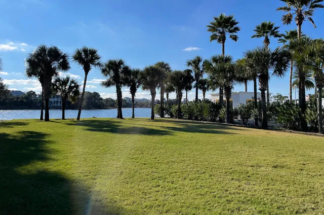 a view of swimming pool with palm trees