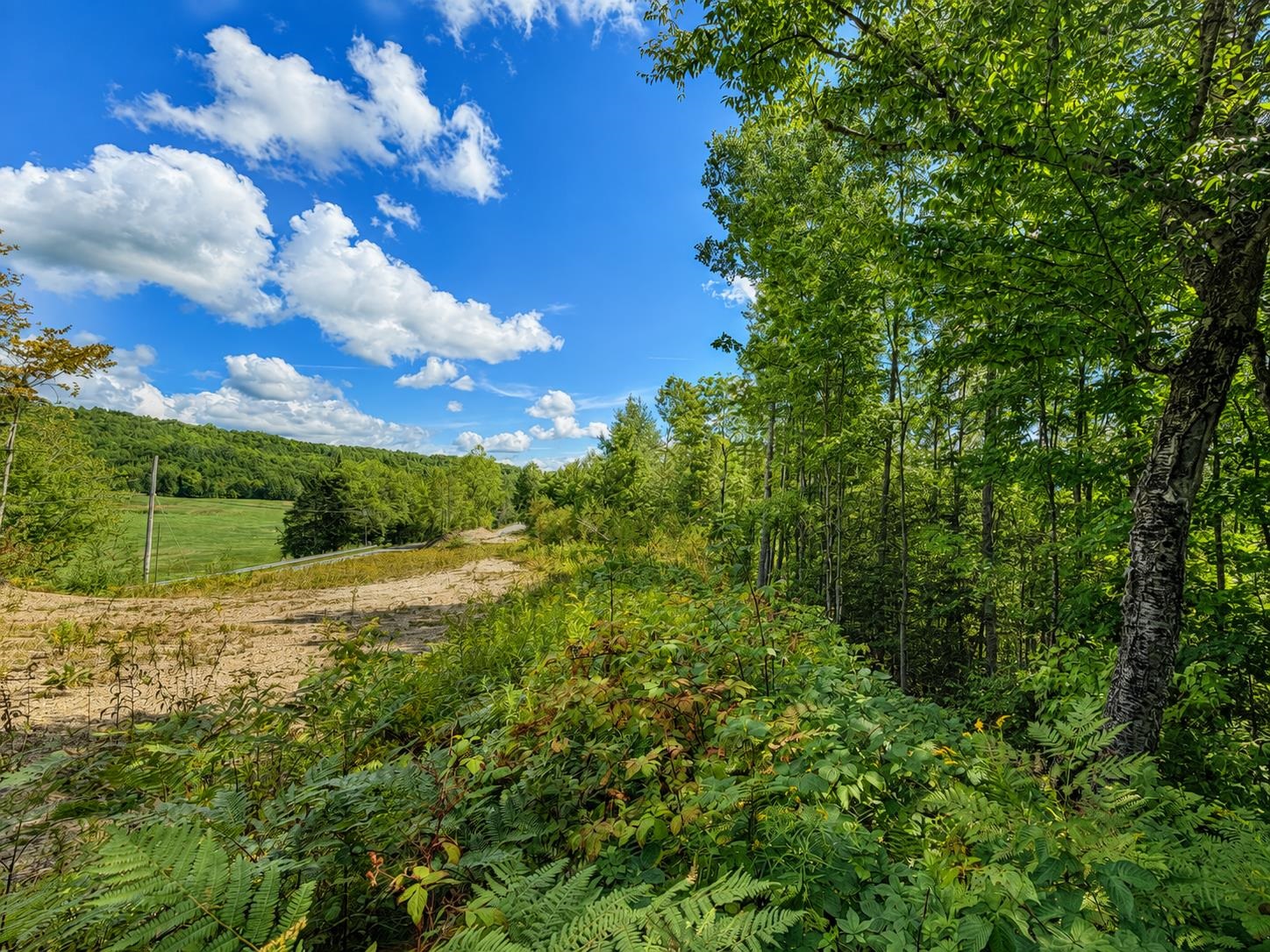 0 Burke Hollow Road, Unit 4 West Burke, VT 05871 - Photo 2 of 4 Gallery Image 2