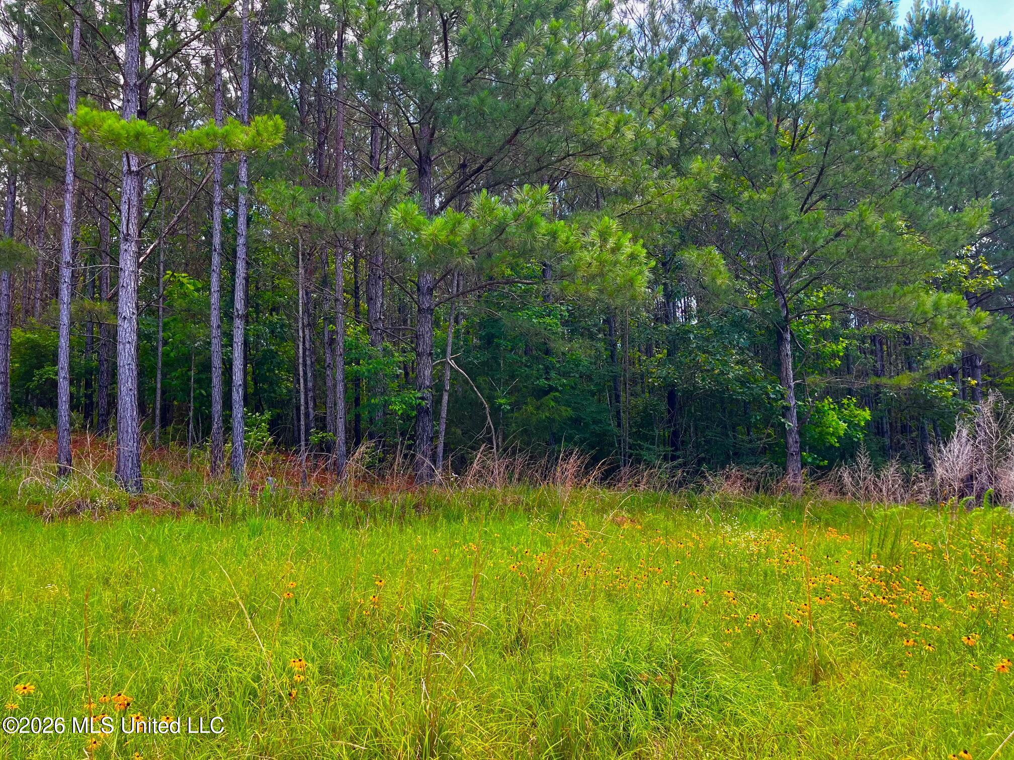 Arthur Drive Brookhaven, MS 39601 - Photo 18 of 20 ar18