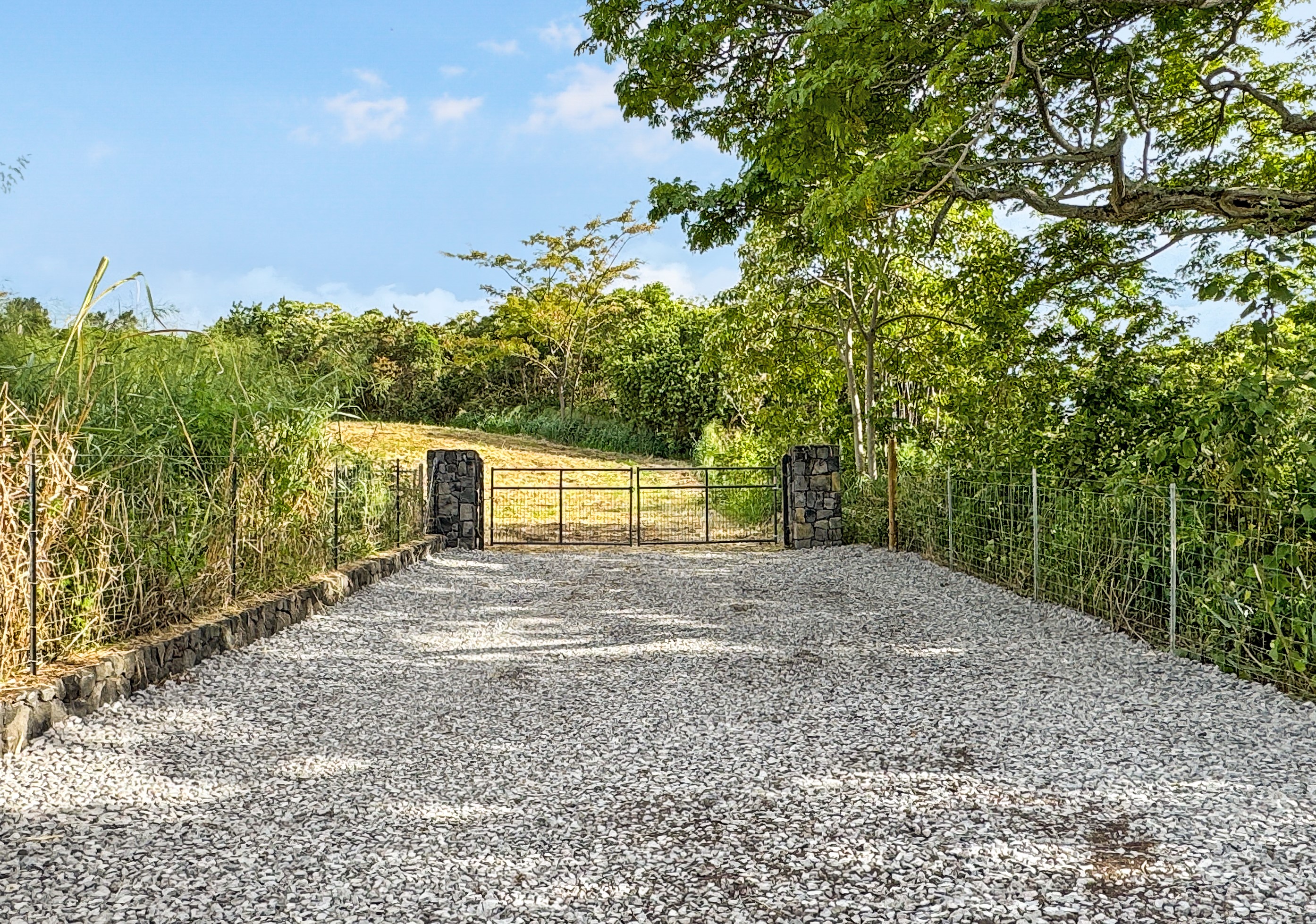 85-5195 Kiilae Road Captain Cook, HI 96704 - Photo 11 of 20 a view of a yard with plants and trees