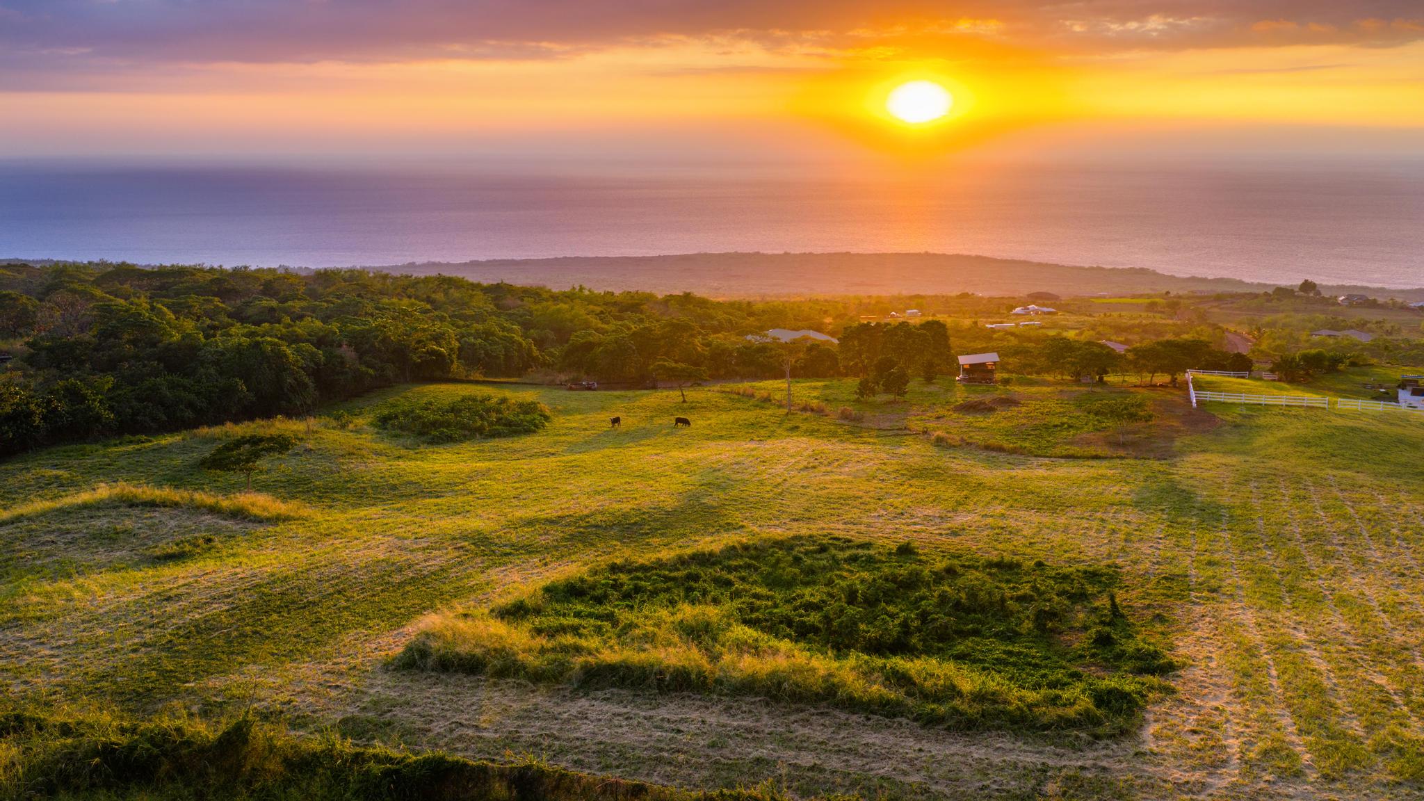 85-5195 Kiilae Road Captain Cook, HI 96704 - Photo 17 of 20 a view of an ocean from a city