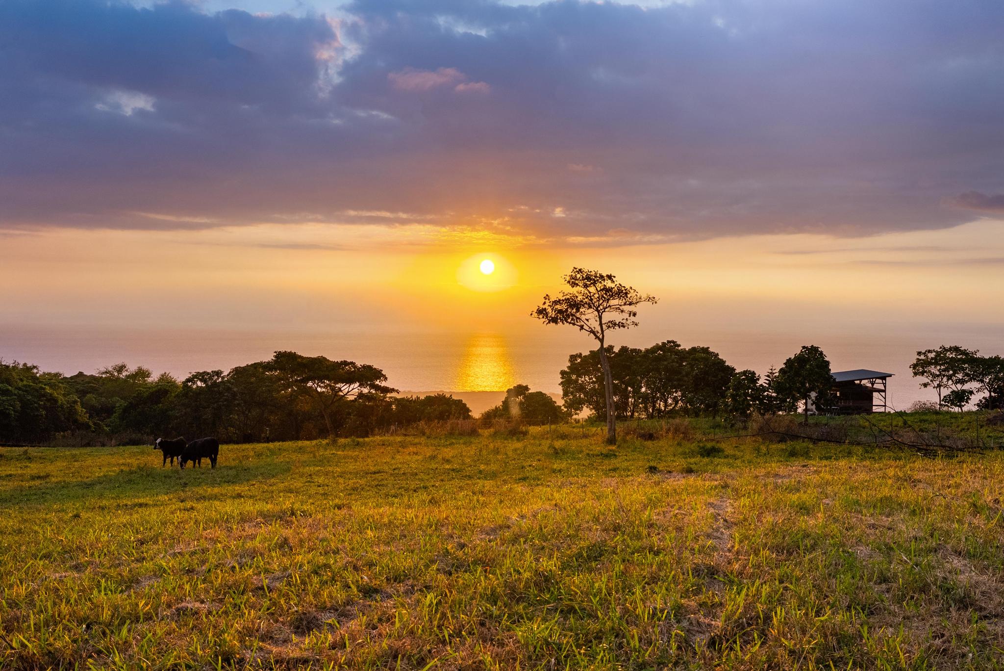 85-5195 Kiilae Road Captain Cook, HI 96704 - Photo 18 of 20 a view of lake