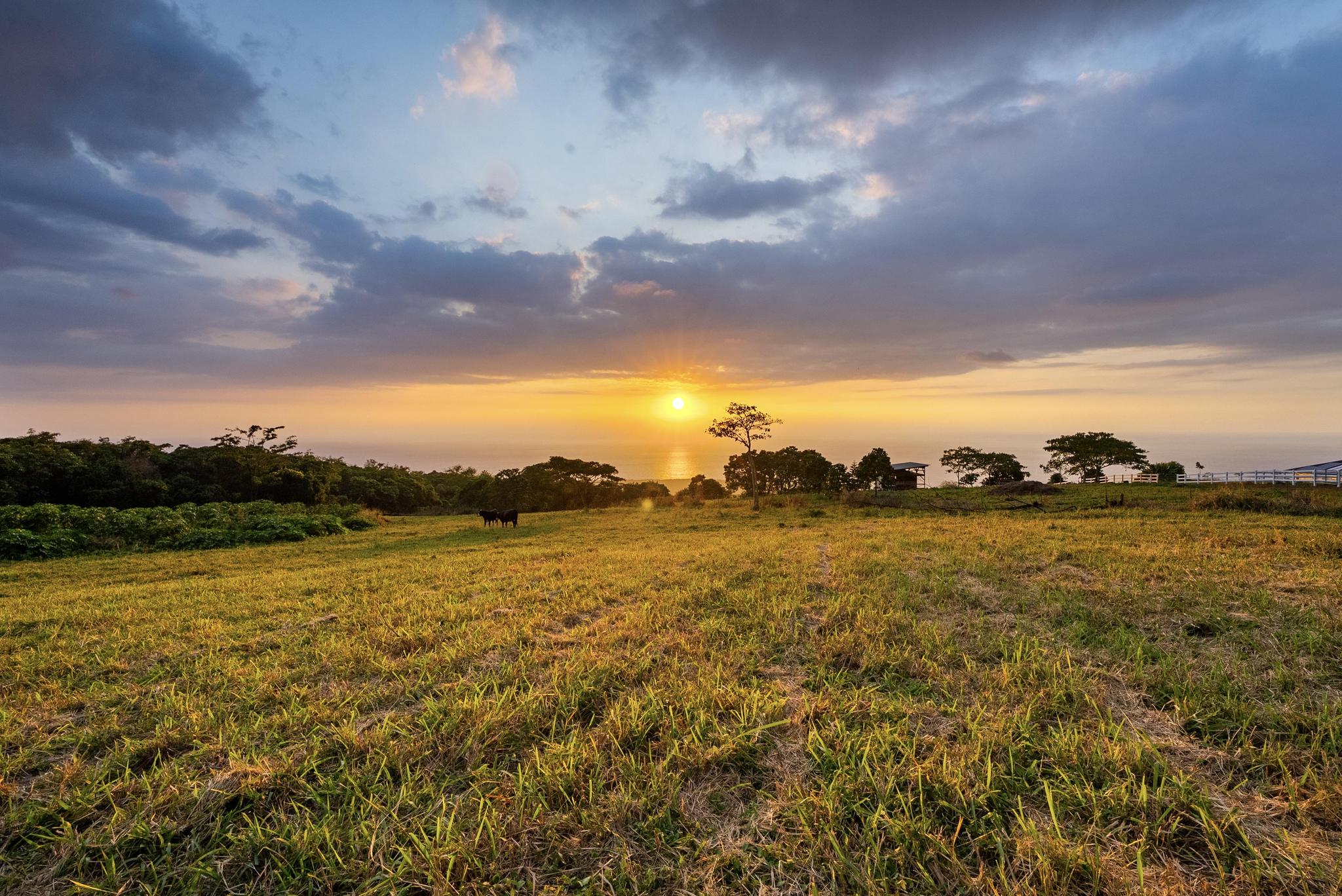 85-5195 Kiilae Road Captain Cook, HI 96704 - Photo 19 of 20 a view of an ocean from a city
