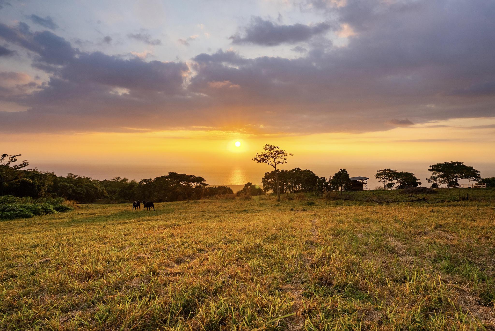85-5195 Kiilae Road Captain Cook, HI 96704 - Photo 20 of 20 a view of lake and mountain