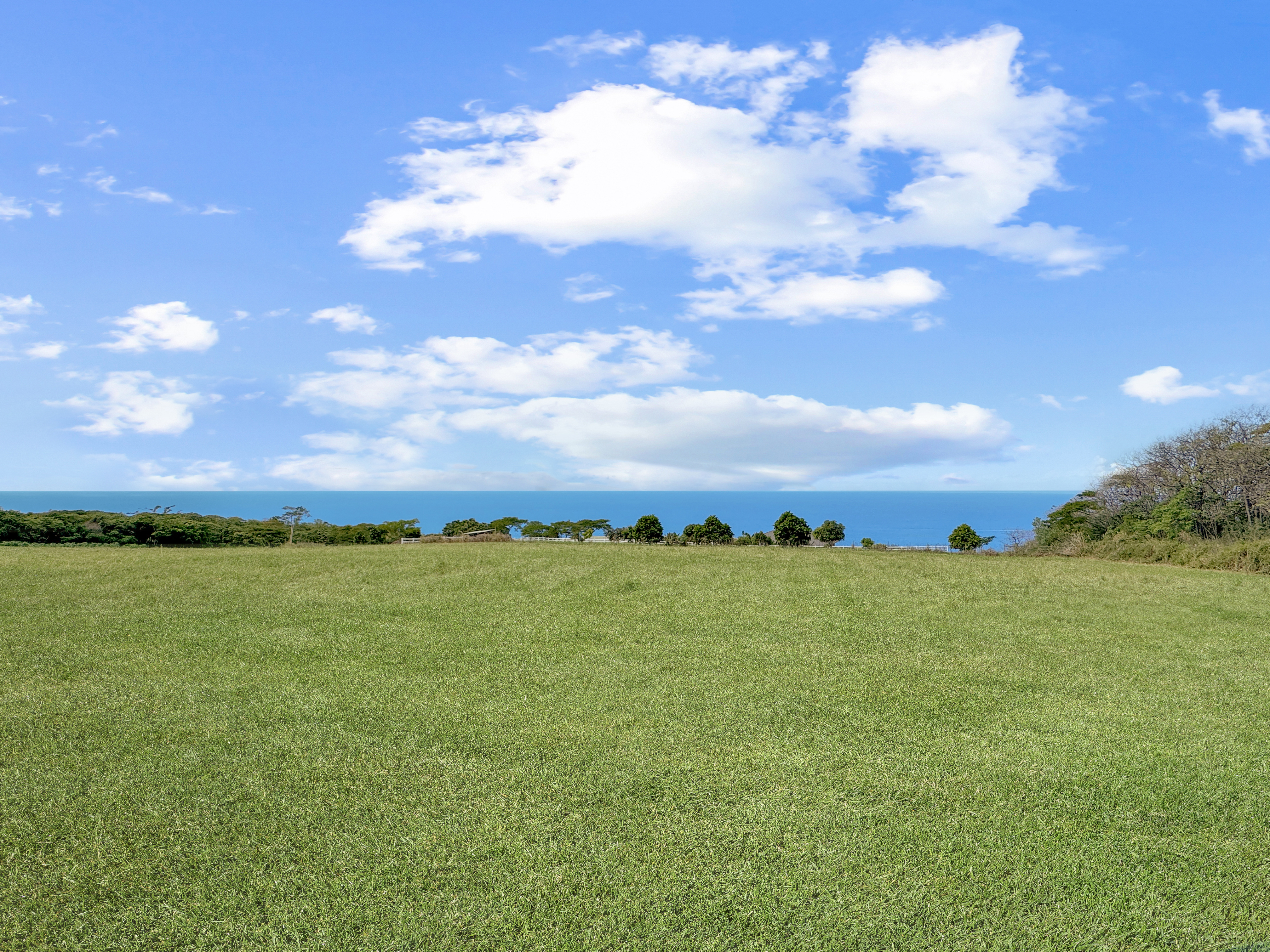 85-5195 Kiilae Road Captain Cook, HI 96704 - Photo 7 of 20 a view of a big yard with a house in the background