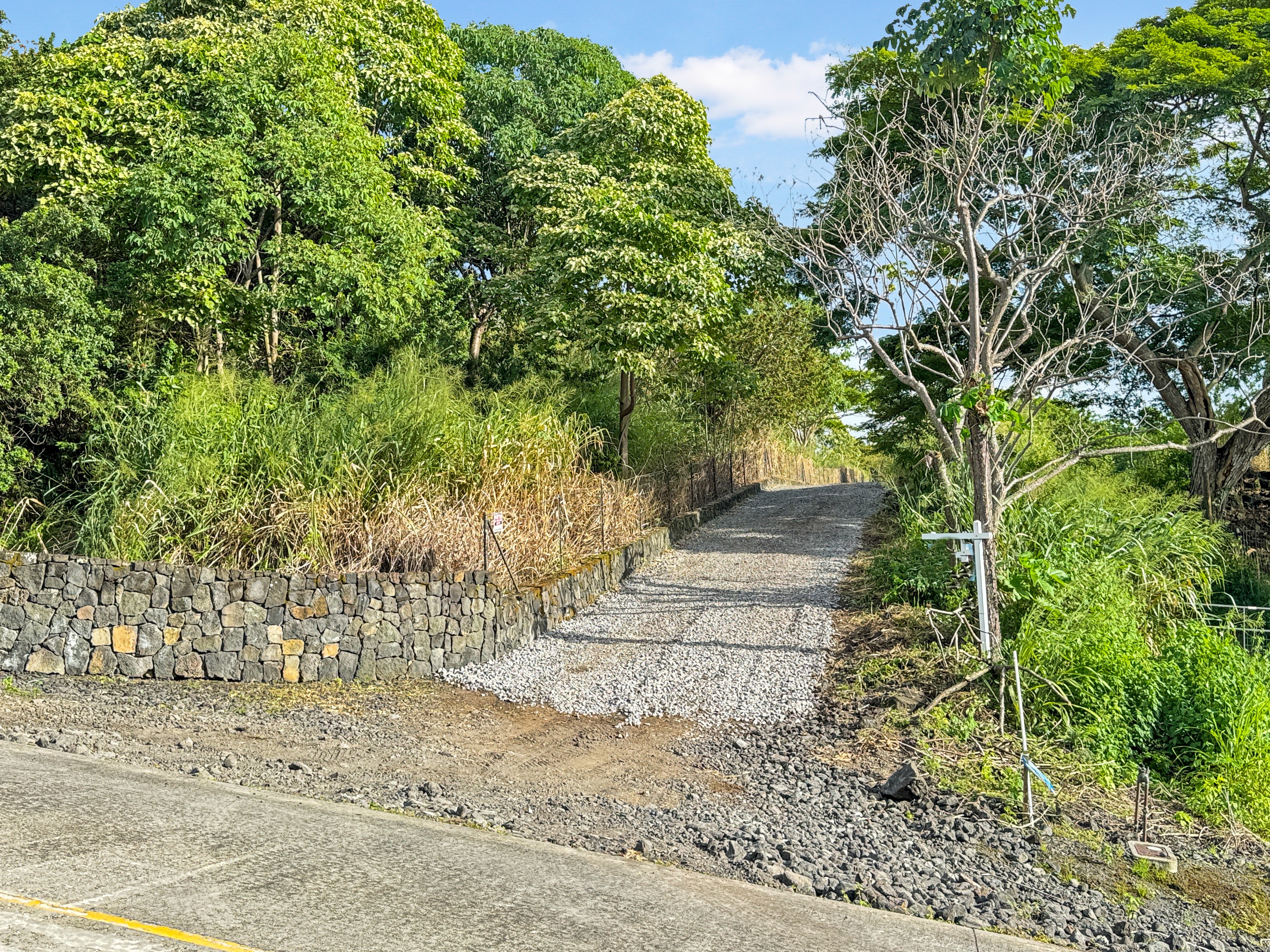 85-5195 Kiilae Road Captain Cook, HI 96704 - Photo 9 of 20 a view of a yard with plants and trees