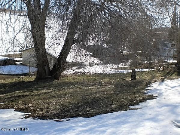 131 Webert Road Tieton, WA 98947 - Photo 17 of 17 a view of a yard with a tree