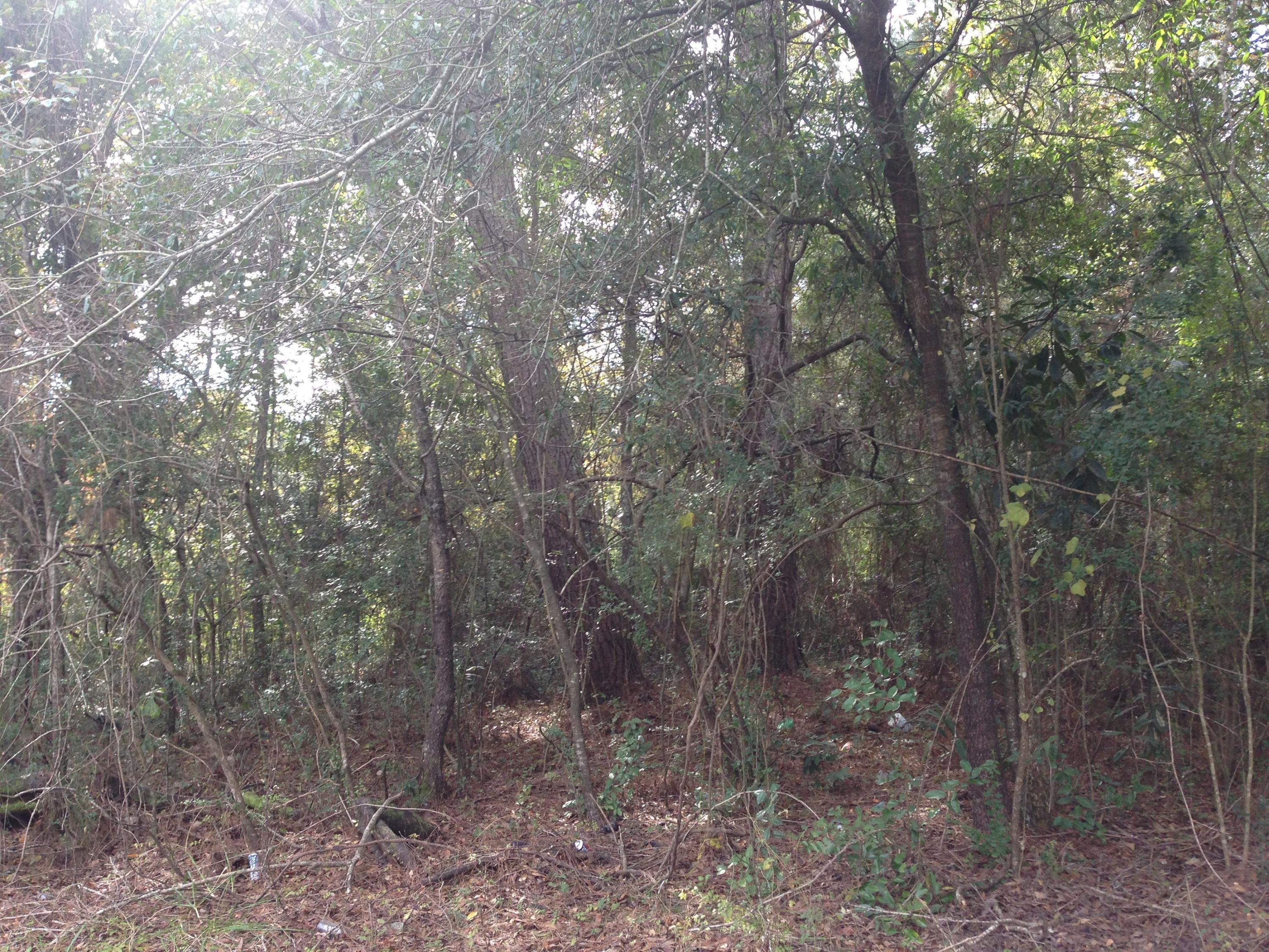 779 Hughes Road Johns Island, SC 29455 - Photo 1 of 1 IMG_1833