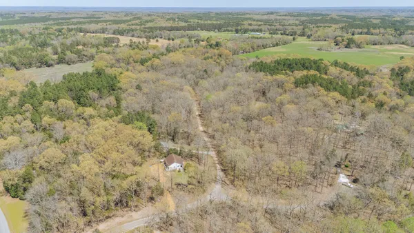 a view of a lush green forest with trees and houses