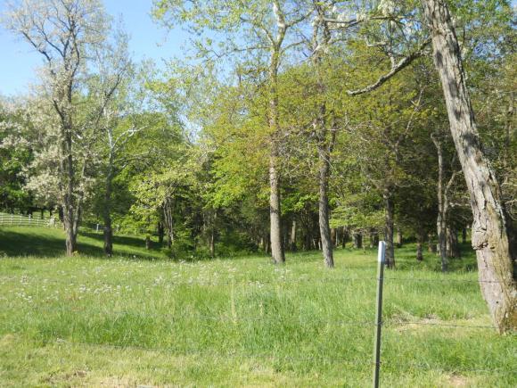 11272 Bushy Road Laurel, IN 47024 - Photo 21 of 27 Gallery Image 21