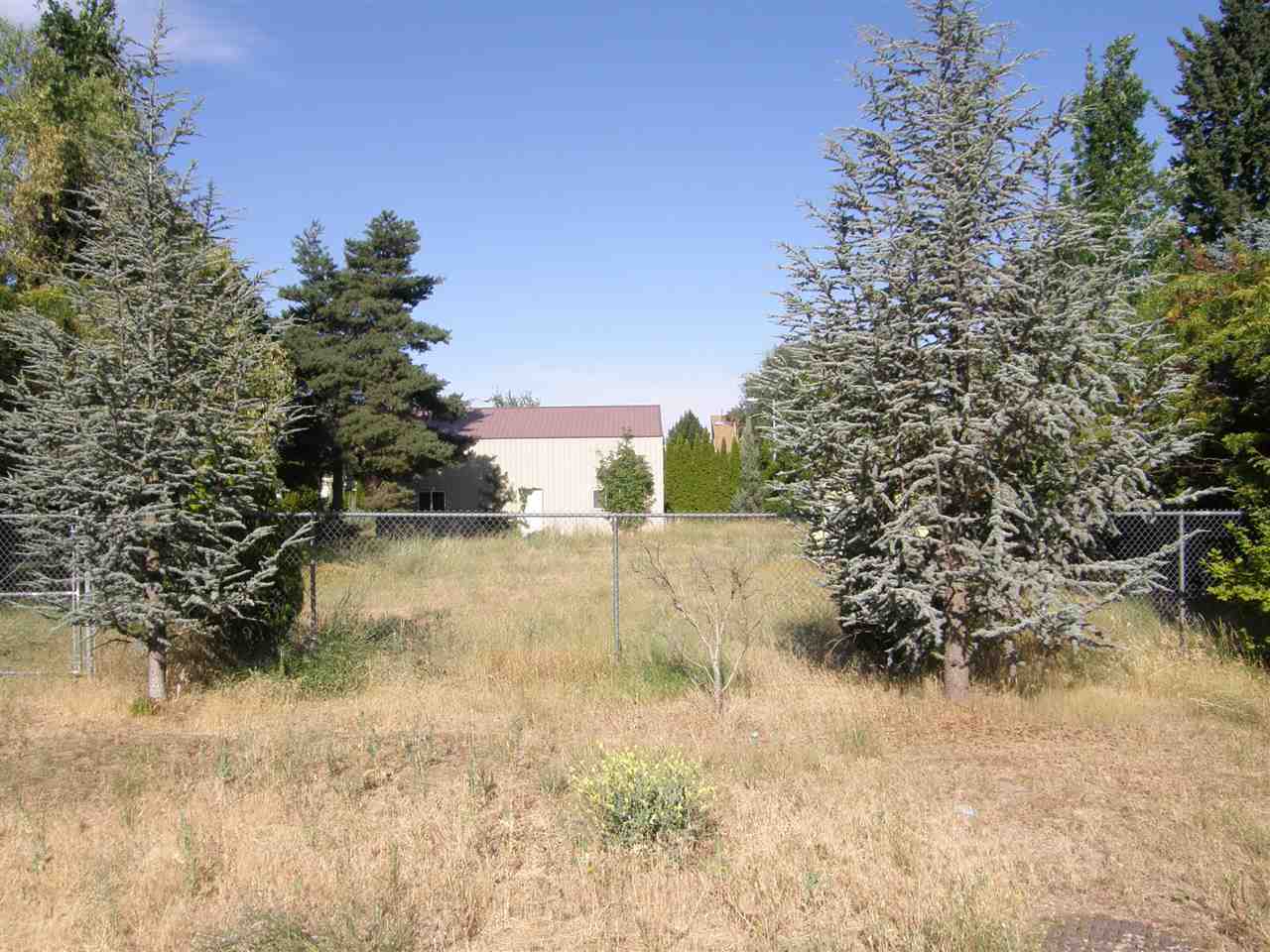 Gallery Image 6