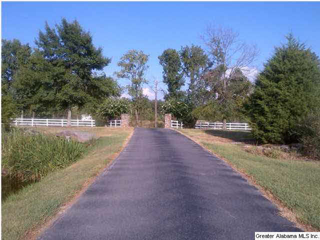 1211 Old Scott Road Blountsville, AL 35031 - Photo 2 of 29