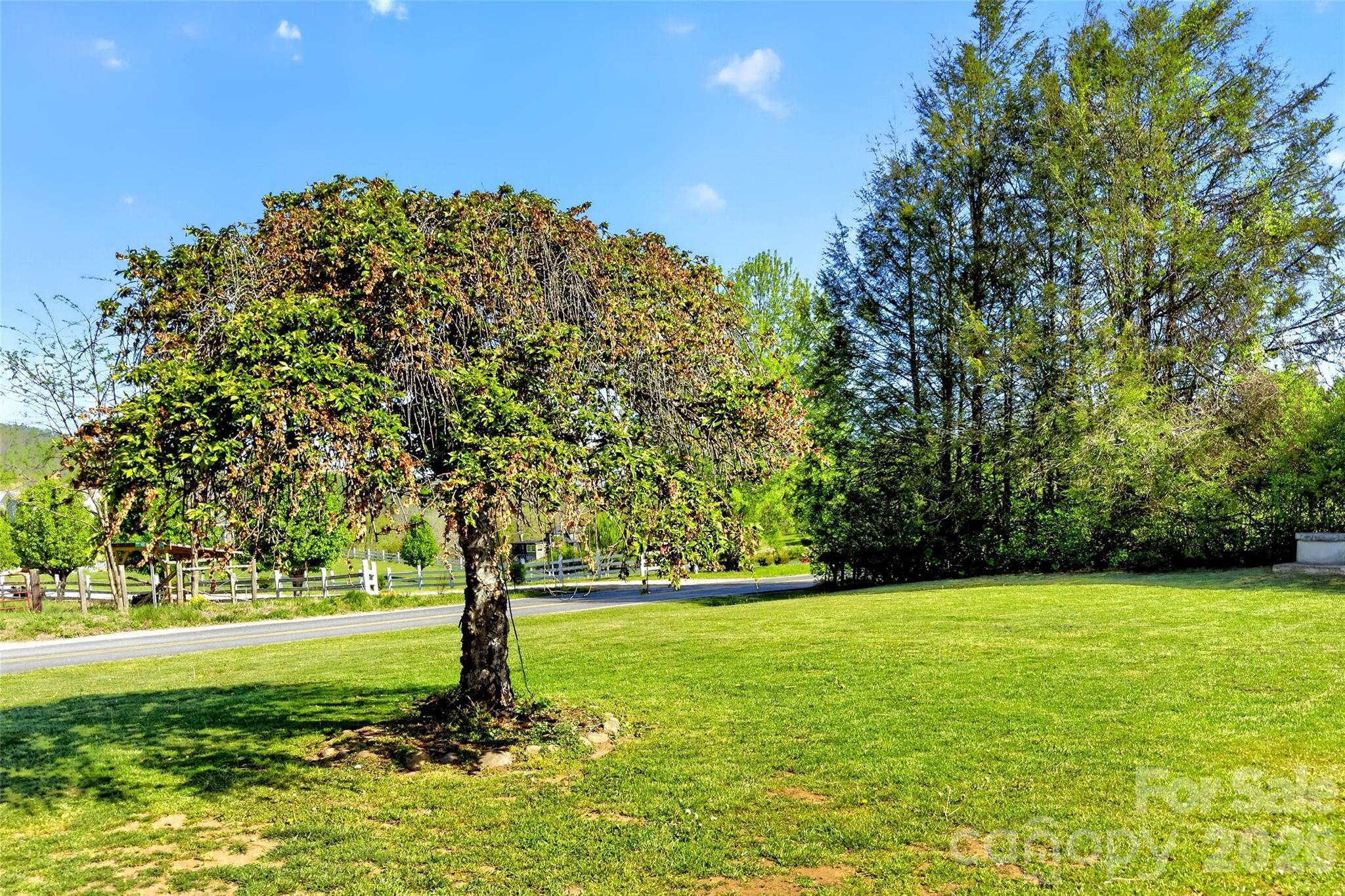 1191 Dale Road Spruce Pine, NC 28777 - Photo 38 of 41