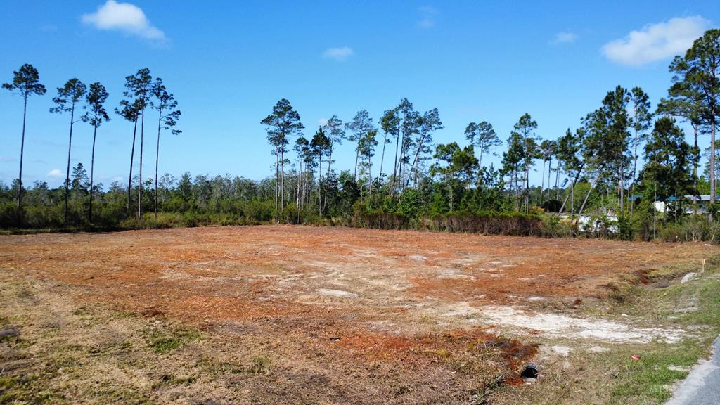 6364 Doc Whitfield Road Wewahitchka, FL 32465 - Photo 10 of 11