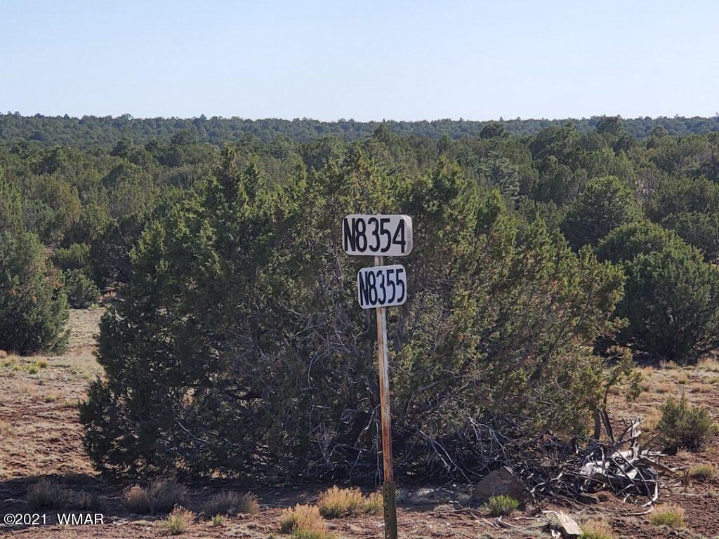 0 County Road Concho, AZ 85924 - Photo 1 of 25 a view of a street with a building in the background