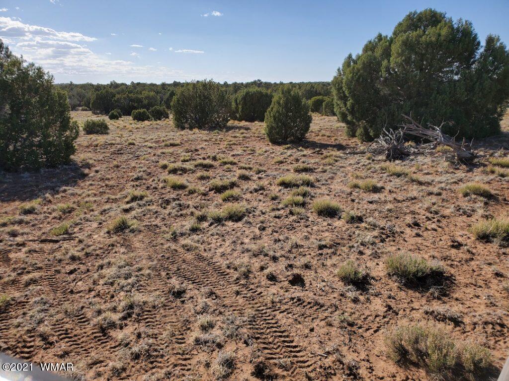 0 County Road Concho, AZ 85924 - Photo 13 of 25 a view of a dry yard