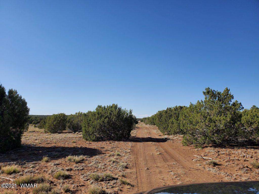 0 County Road Concho, AZ 85924 - Photo 14 of 25 a view of a road from a yard