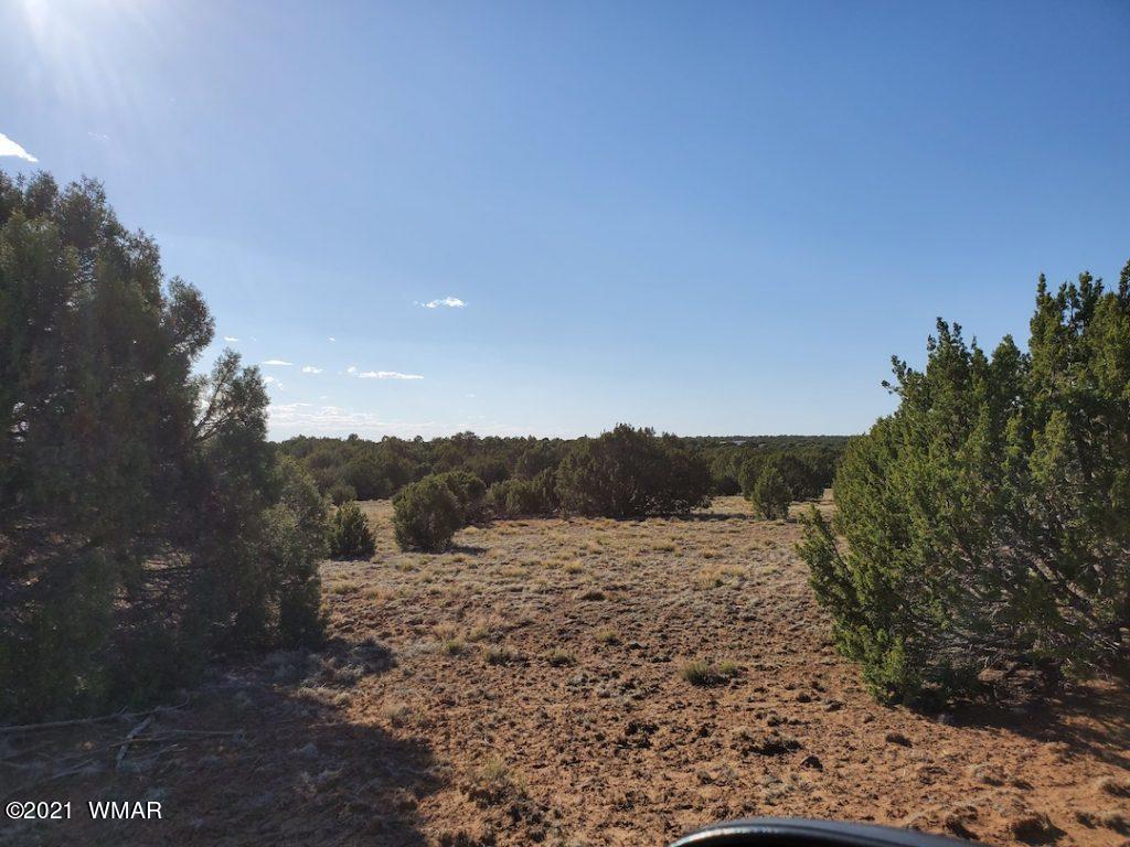 0 County Road Concho, AZ 85924 - Photo 16 of 25 a view of a field with a tree in the background